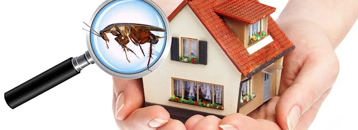 Carroll Exterminating Company Picture 3