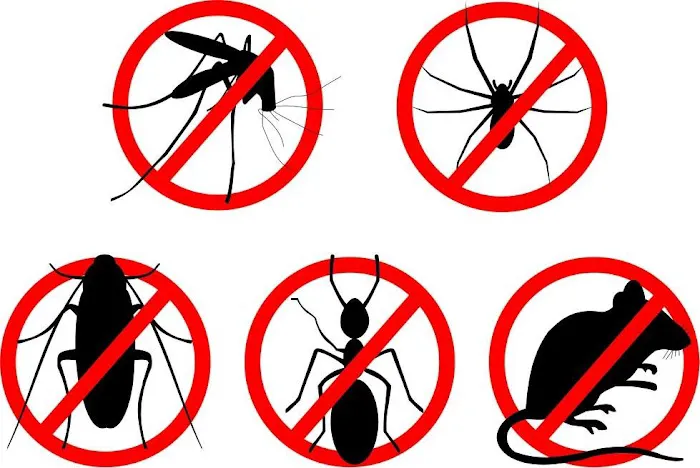 Carroll Exterminating Company Picture 7