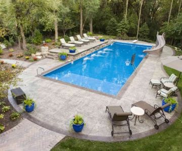 How to Deal With Pest Issues Near Pools