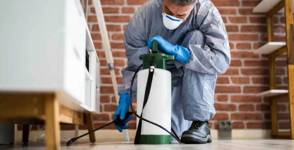 pest control near me