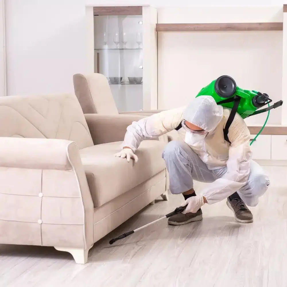 Pest Control Blogs | Expert Guides, Prevention Tips & Pest Insights