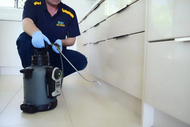 How to Monitor Pest Activity After Treatment