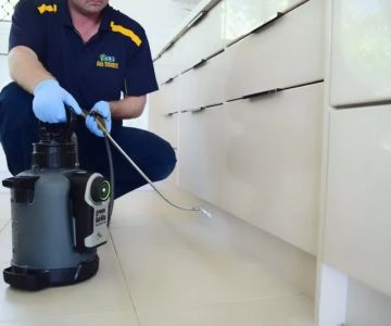 How to Monitor Pest Activity After Treatment