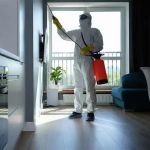 How to Prepare Your Home Before an Exterminator Visit
