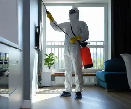 How to Prepare Your Home Before an Exterminator Visit
