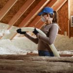 How to Treat Pest Infestations in Attic Insulation – Expert Removal and Prevention Guide
