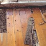 How to Keep Termites from Entering Through the Foundation – Proven Protection Methods