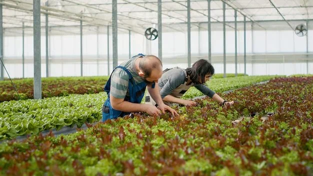 How to Control Pests Without Pesticides