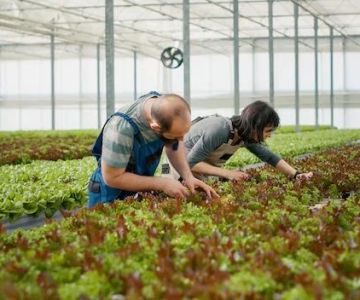 How to Control Pests Without Pesticides