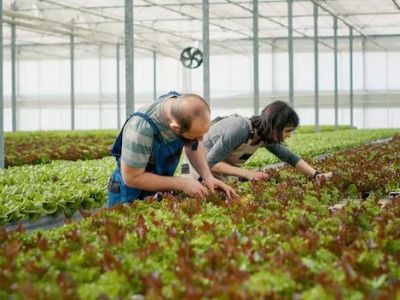 How to Control Pests Without Pesticides