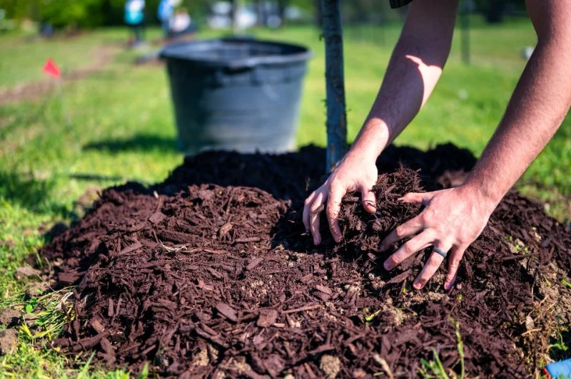 How Landscaping Mulch Types Affect Pest Attraction – Tips for a Pest-Free Yard