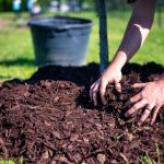 How Landscaping Mulch Types Affect Pest Attraction – Tips for a Pest-Free Yard