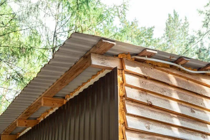 How to Keep Pests Out of Roof Overhangs – Effective Tips and Solutions