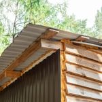 How to Keep Pests Out of Roof Overhangs – Effective Tips and Solutions