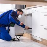 Safe Pest Control Around Food Storage Areas – Tips for Effective and Safe Solutions