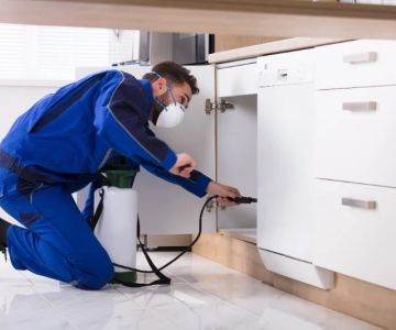 Safe Pest Control Around Food Storage Areas – Tips for Effective and Safe Solutions