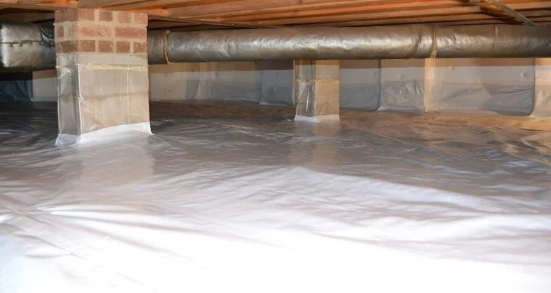 How to Keep Crawlspaces Dry and Pest-Free: Essential Tips