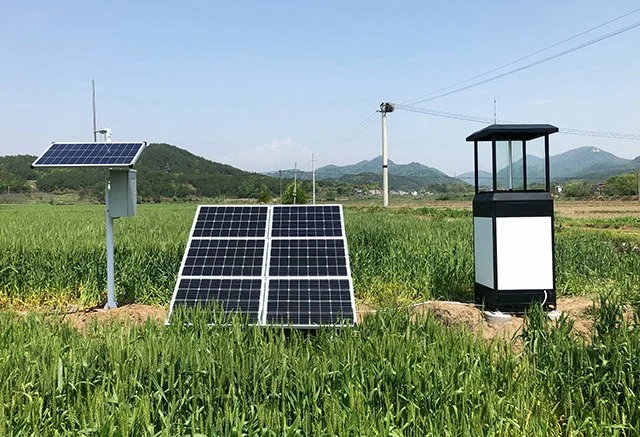 How to Use Smart Sensors for Insect Detection: A Modern Approach