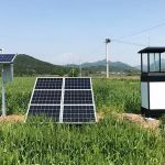 How to Use Smart Sensors for Insect Detection: A Modern Approach