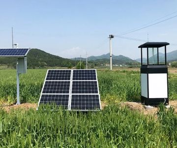 How to Use Smart Sensors for Insect Detection: A Modern Approach