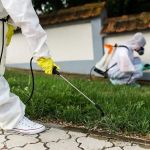 How to Use Insect Growth Regulators (IGRs) Effectively – A Guide to Pest Control