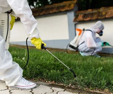 How to Use Insect Growth Regulators (IGRs) Effectively – A Guide to Pest Control