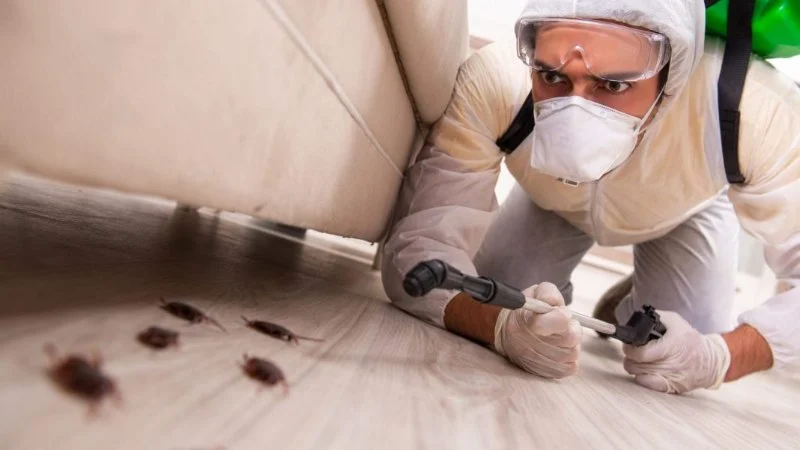 How to Clean Surfaces After Pest Treatments – A Complete Guide