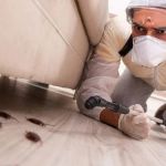 How to Clean Surfaces After Pest Treatments – A Complete Guide