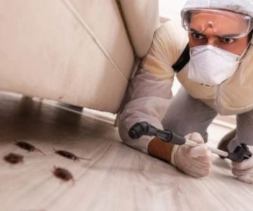 How to Clean Surfaces After Pest Treatments – A Complete Guide