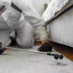 How to Get Rid of Bed Bugs Without Poisoning Your Home: Safe and Effective Solutions