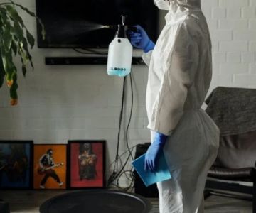 How to Keep Crawlspaces Pest-Free All Year: Effective Strategies and Tips