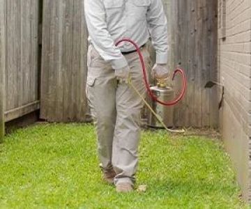 How to Use Barrier Treatments in Key Zones for Effective Pest Control