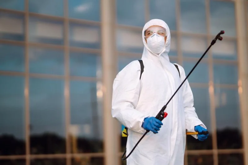 How to Use Monitors to Detect Pest Entry: A Comprehensive Guide
