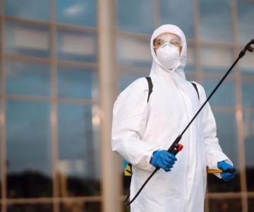 How to Use Monitors to Detect Pest Entry: A Comprehensive Guide