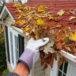 How to Prevent Pest Intrusion in Seasonal Homes: Effective Tips and Solutions