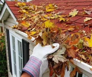 How to Prevent Pest Intrusion in Seasonal Homes: Effective Tips and Solutions