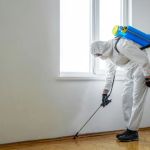 How to Choose Between Different Pest Control Methods: A Complete Guide