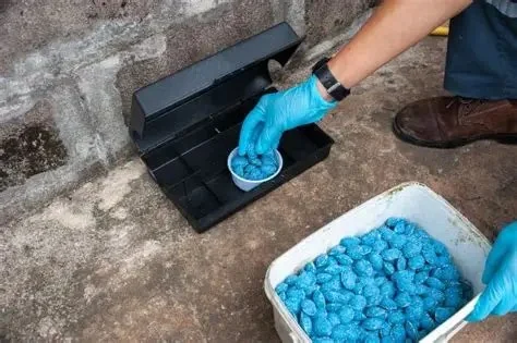 How to Use Tamper-Resistant Bait Stations: A Guide for Effective Pest Control