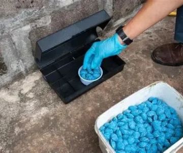 How to Use Tamper-Resistant Bait Stations: A Guide for Effective Pest Control
