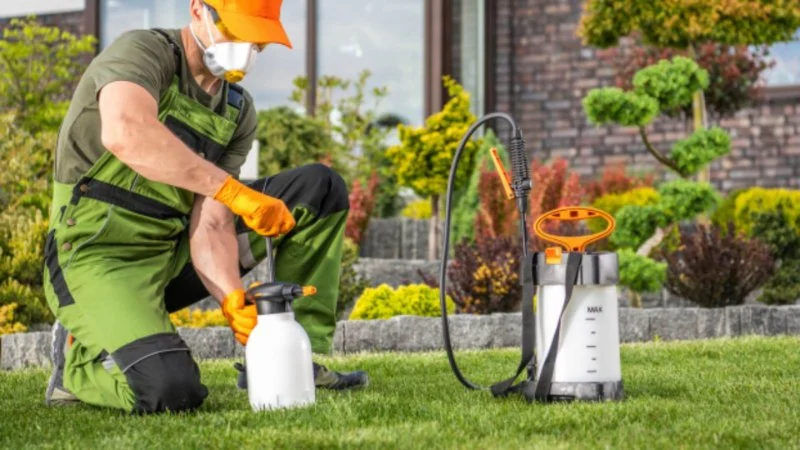 How to Prevent Pest Intrusion via Landscaping: Tips for a Pest-Free Yard