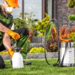 How to Prevent Pest Intrusion via Landscaping: Tips for a Pest-Free Yard
