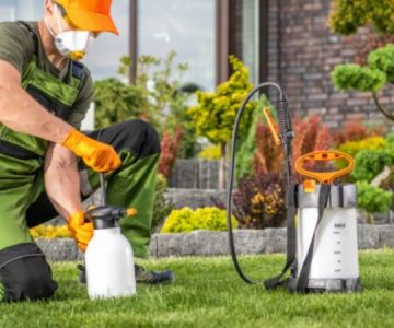 How to Prevent Pest Intrusion via Landscaping: Tips for a Pest-Free Yard