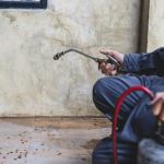 How to Manage Pest Issues in Older Homes: Tips for Homeowners
