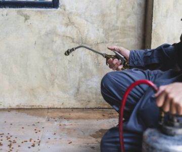 How to Manage Pest Issues in Older Homes: Tips for Homeowners