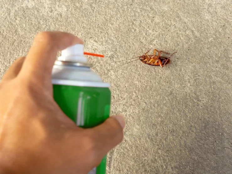 How to Use Non-Chemical Barriers for Pest Control: Natural Solutions for Your Home
