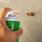 How to Use Non-Chemical Barriers for Pest Control: Natural Solutions for Your Home