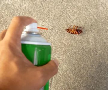 How to Use Non-Chemical Barriers for Pest Control: Natural Solutions for Your Home