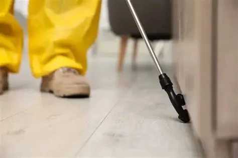How to Prevent Pest Return After Treatment: Effective Strategies