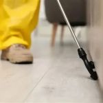 How to Prevent Pest Return After Treatment: Effective Strategies