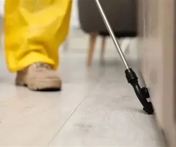 How to Prevent Pest Return After Treatment: Effective Strategies